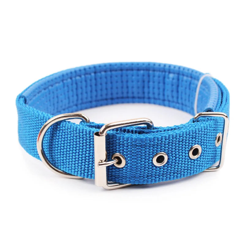 Solid Dog Collars