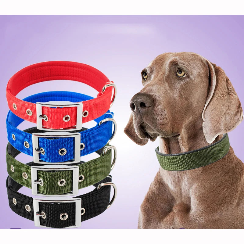 Solid Dog Collars