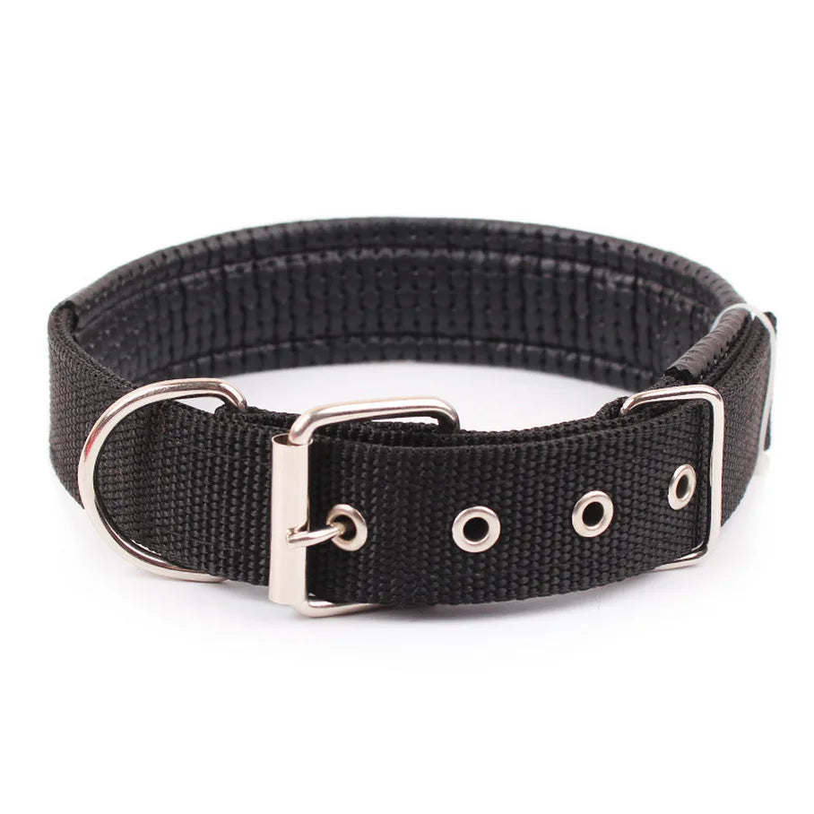 Solid Dog Collars