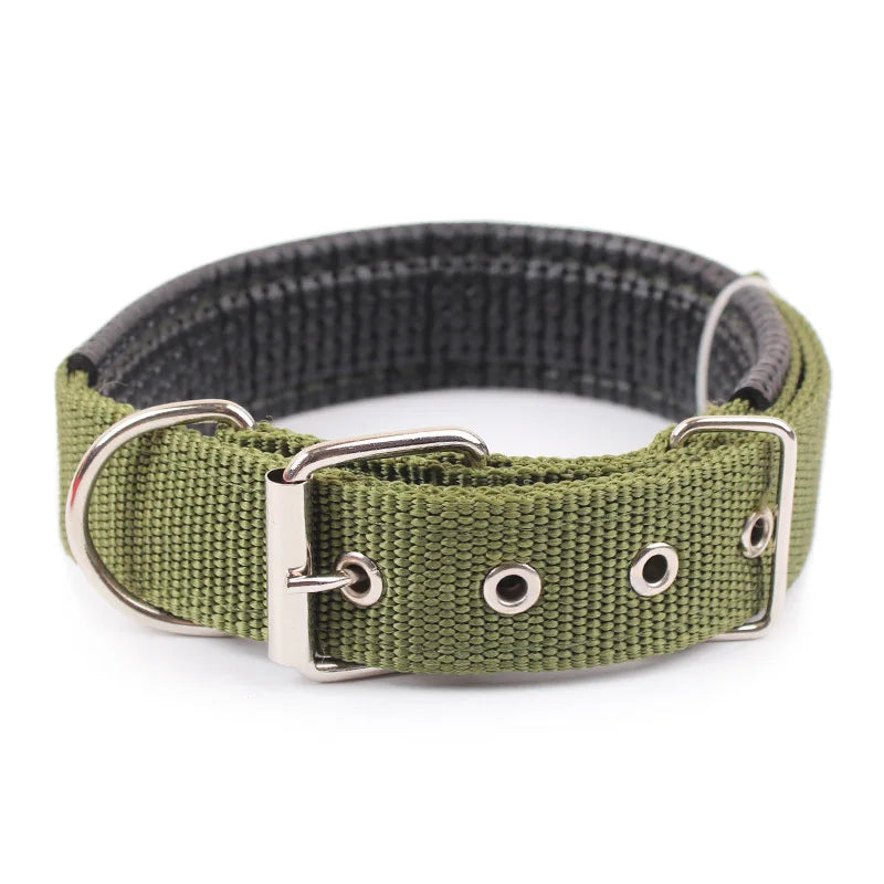 Solid Dog Collars