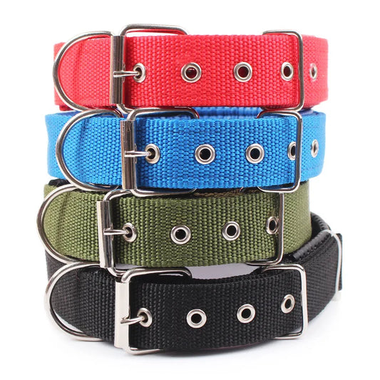 Solid Dog Collars