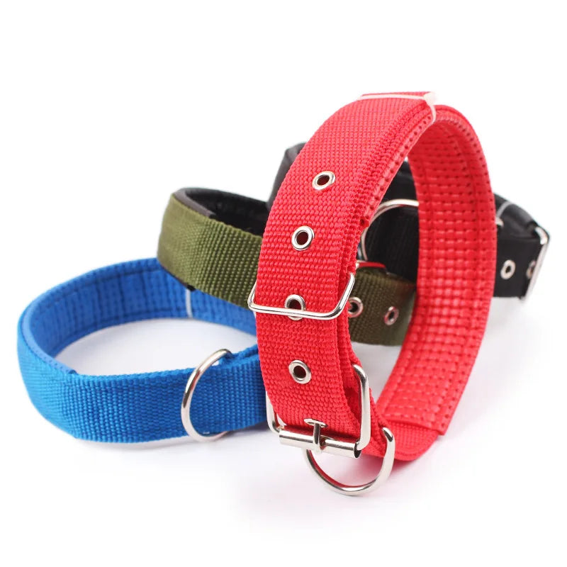 Solid Dog Collars