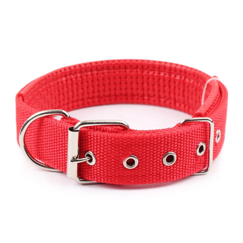 Solid Dog Collars