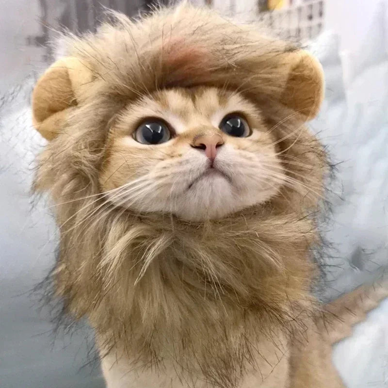 Cat Cosplay Dress Up Pet Hat Lion Mane for Cat Puppy