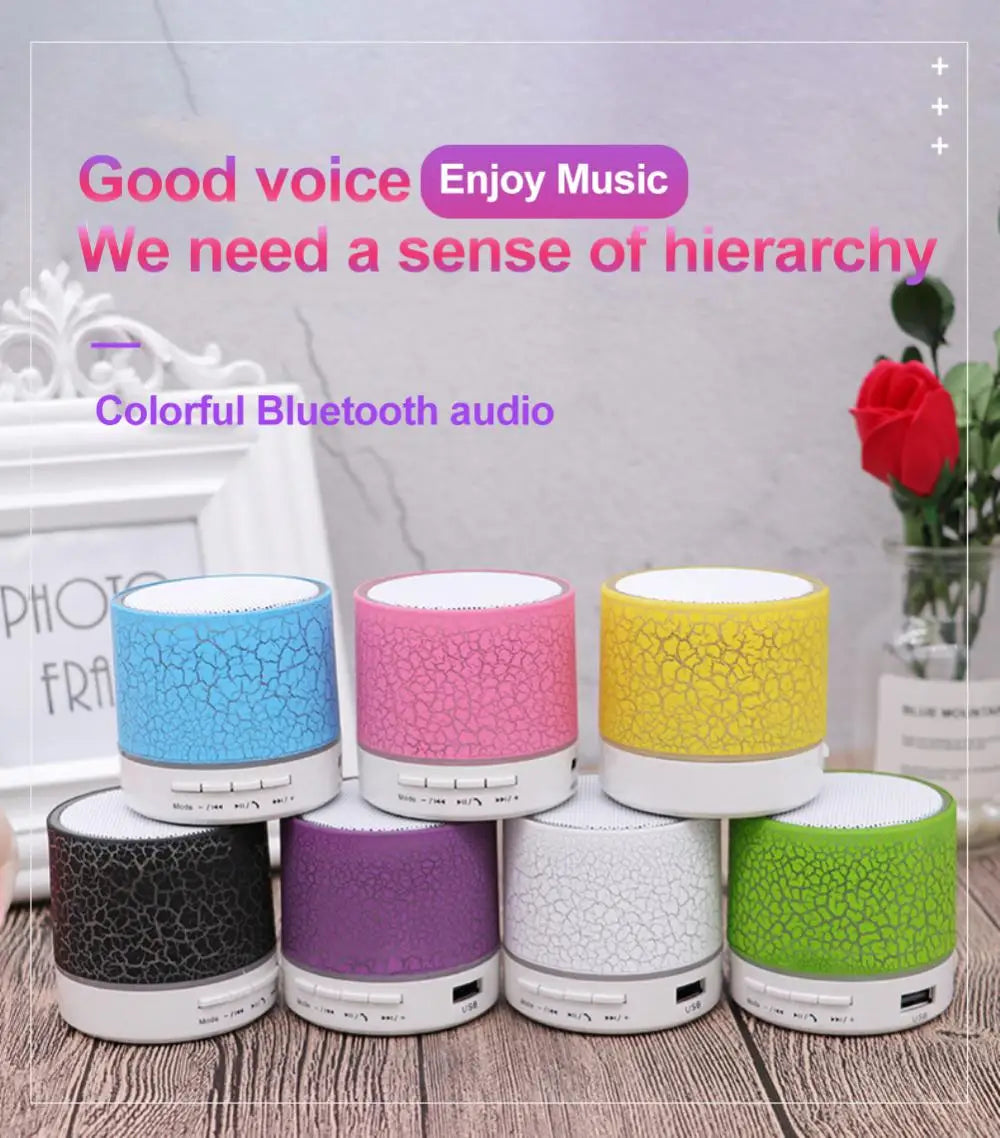 Bluetooth Mini Speaker Wireless Speaker