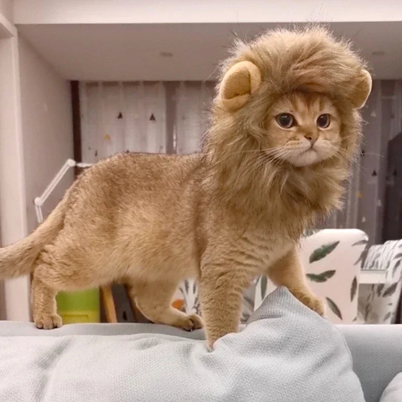 Cat Cosplay Dress Up Pet Hat Lion Mane for Cat Puppy