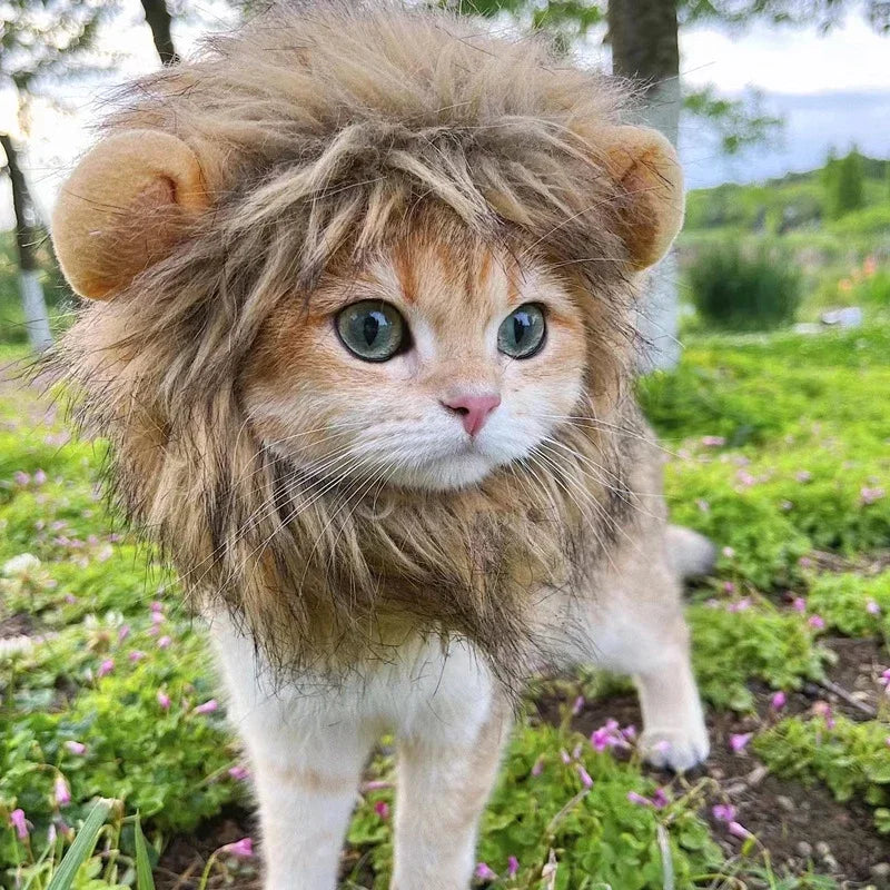 Cat Cosplay Dress Up Pet Hat Lion Mane for Cat Puppy