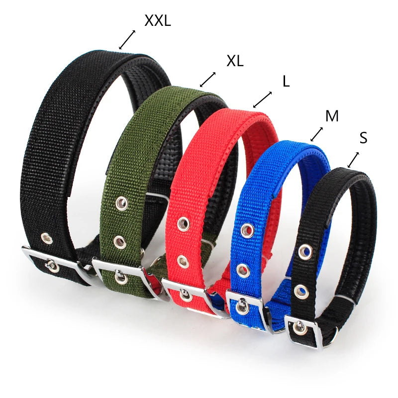 Solid Dog Collars