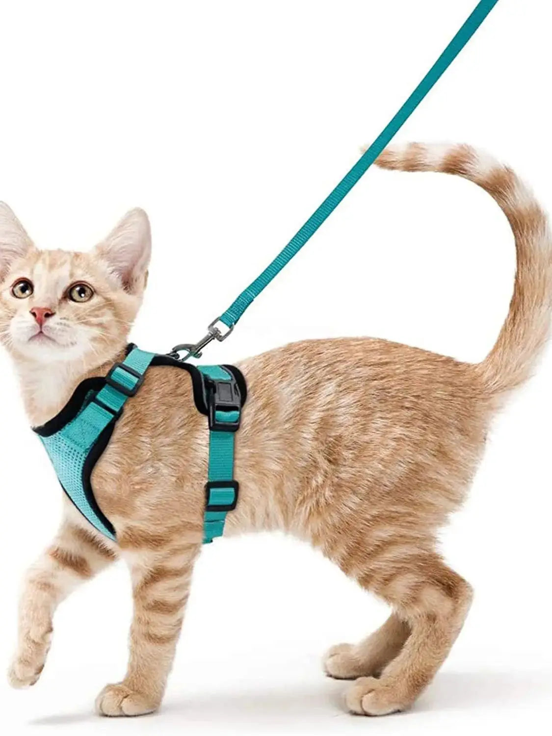 Cat Harness and Leash for Walking,