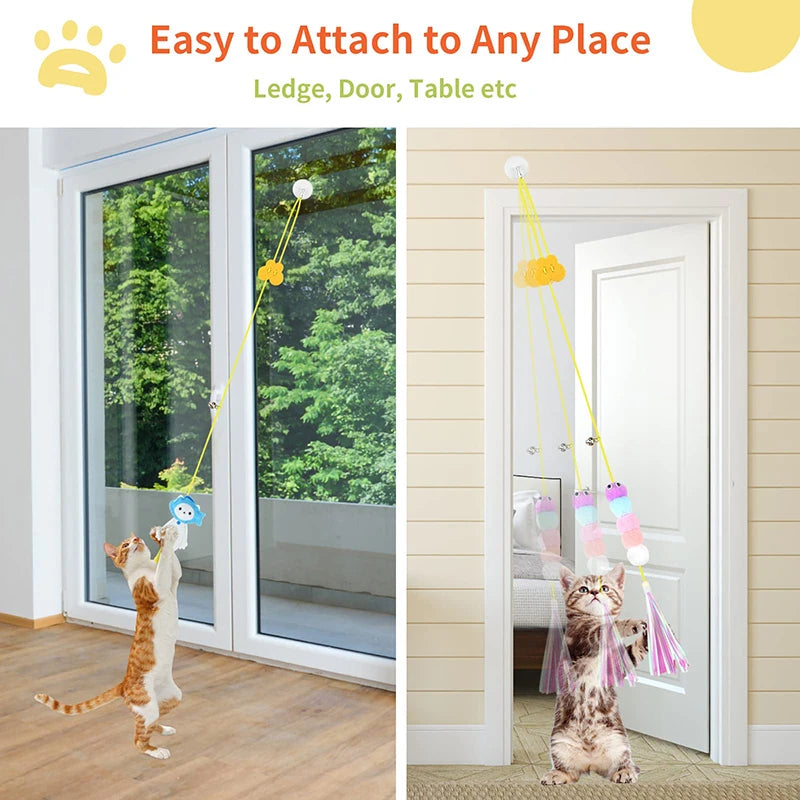 Cat Toys Swing Sticky Disc