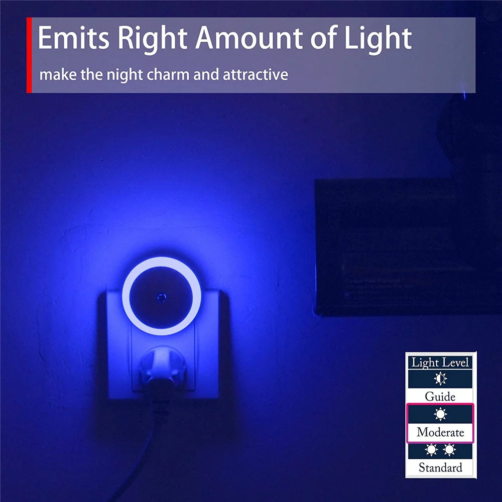 LED Night Light