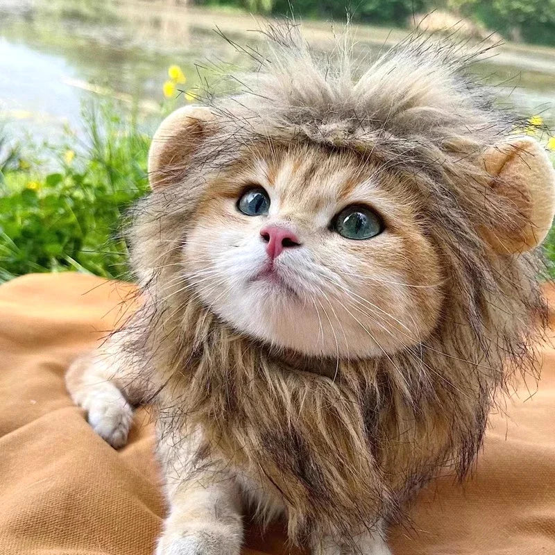 Cat Cosplay Dress Up Pet Hat Lion Mane for Cat Puppy