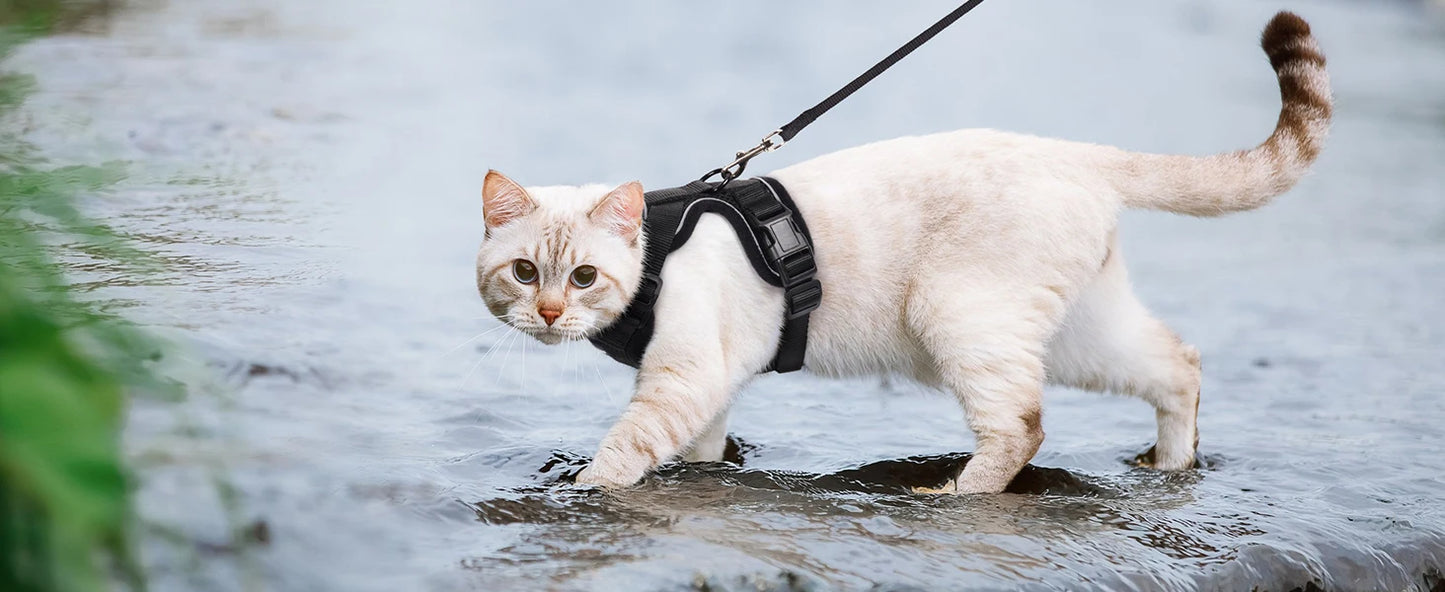 Cat Harness and Leash for Walking,