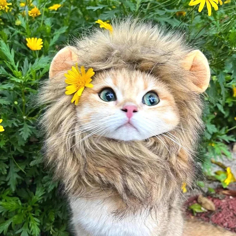 Cat Cosplay Dress Up Pet Hat Lion Mane for Cat Puppy