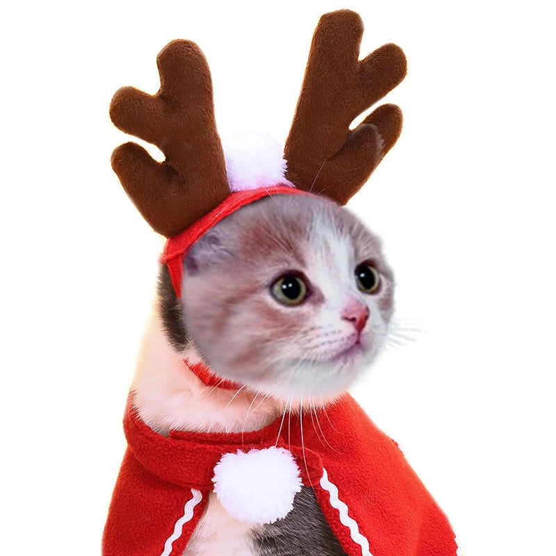 Cute Pet Christmas