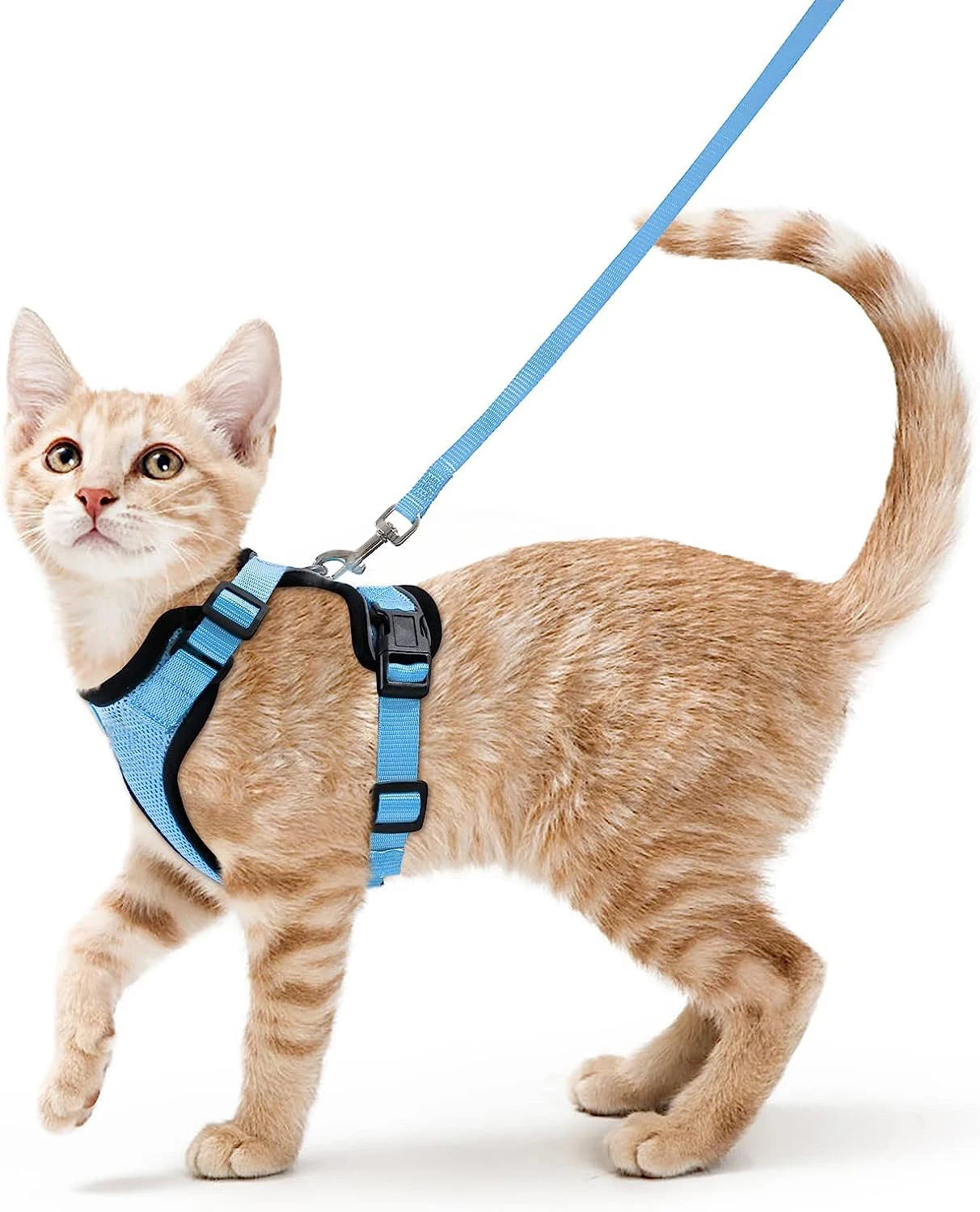 Cat Harness and Leash for Walking,