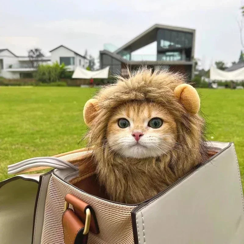 Cat Cosplay Dress Up Pet Hat Lion Mane for Cat Puppy