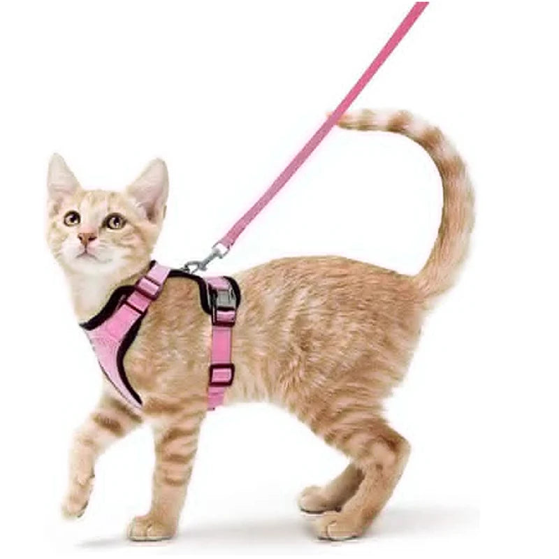 Cat Harness and Leash for Walking,