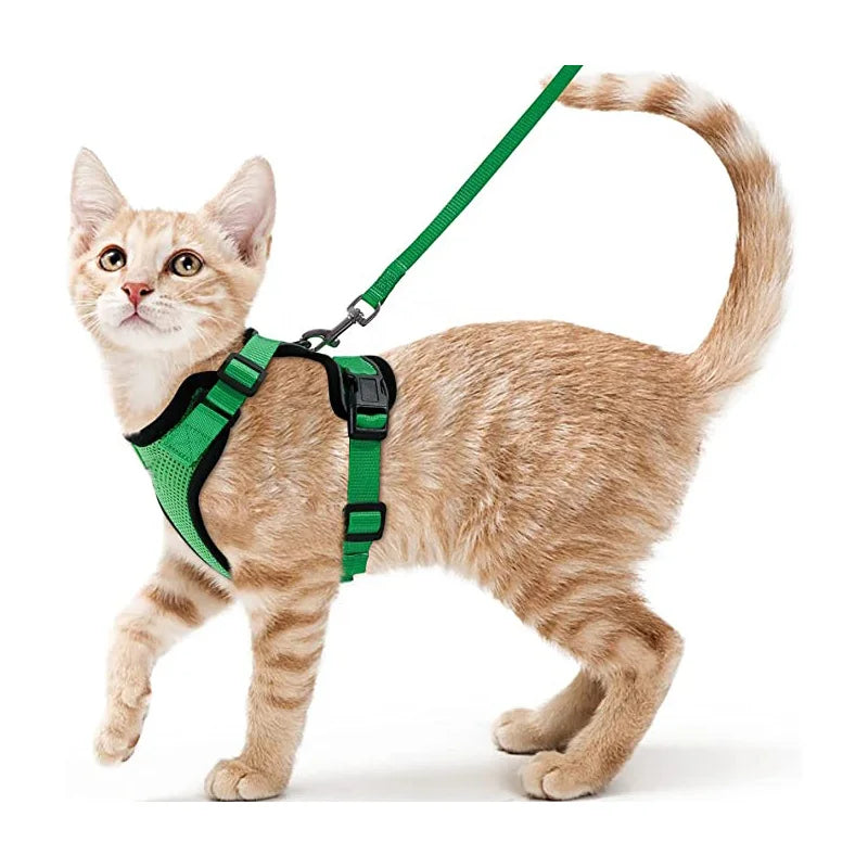 Cat Harness and Leash for Walking,