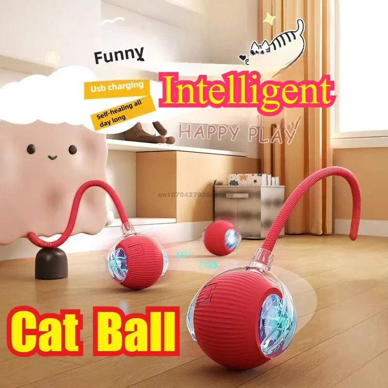 Cat Interactive Ball Training