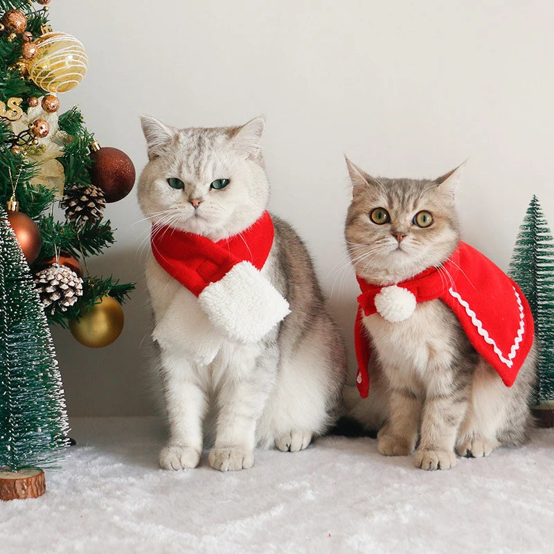 Cute Pet Christmas