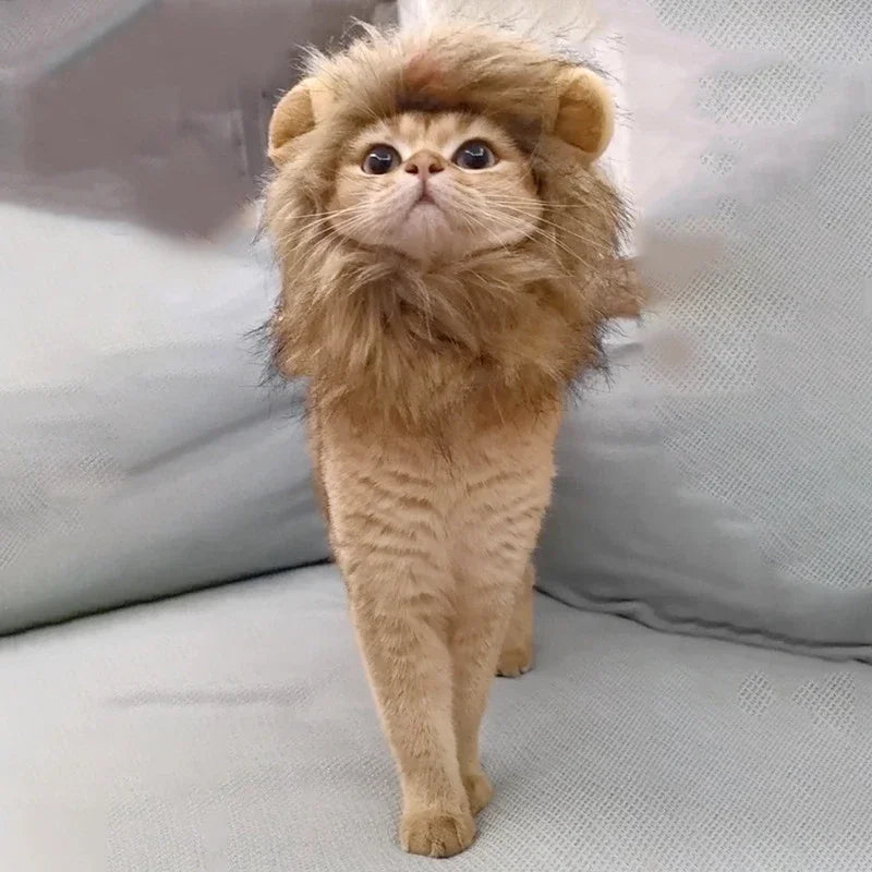 Cat Cosplay Dress Up Pet Hat Lion Mane for Cat Puppy