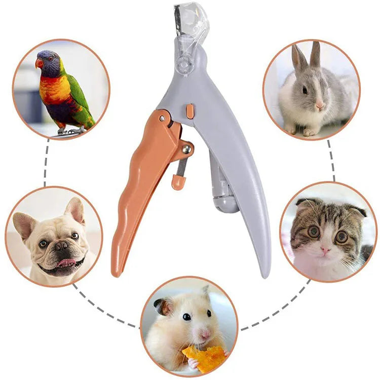 Professional Pet Nail Clipper Scissors With LED Light