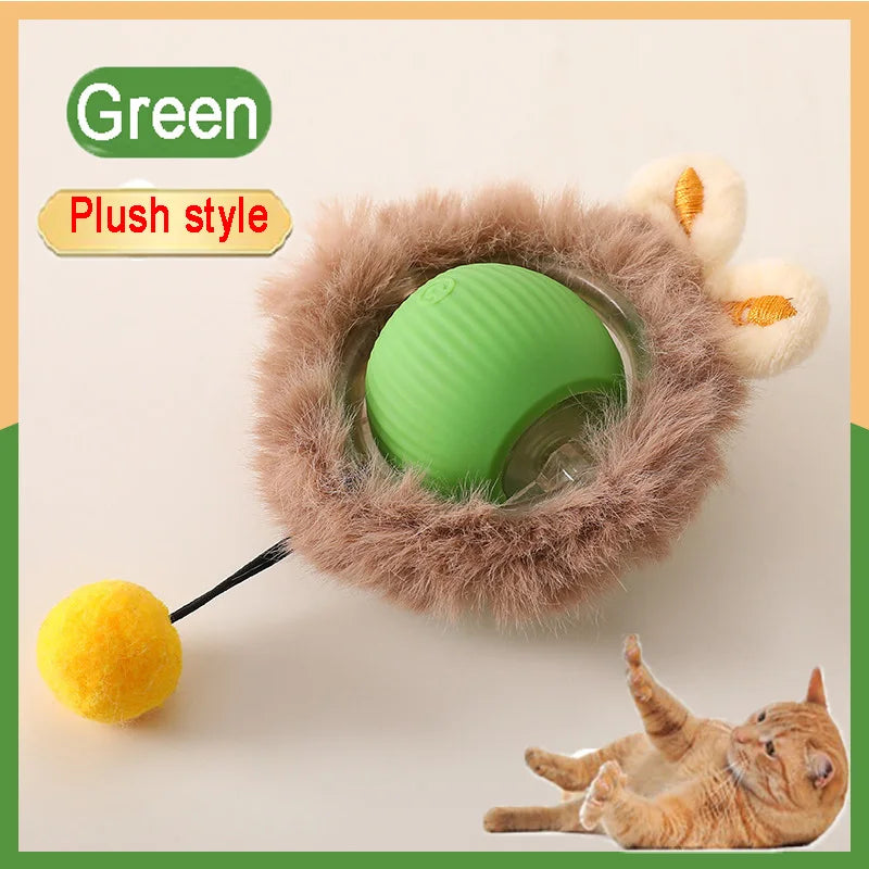 Cat Interactive Ball Training