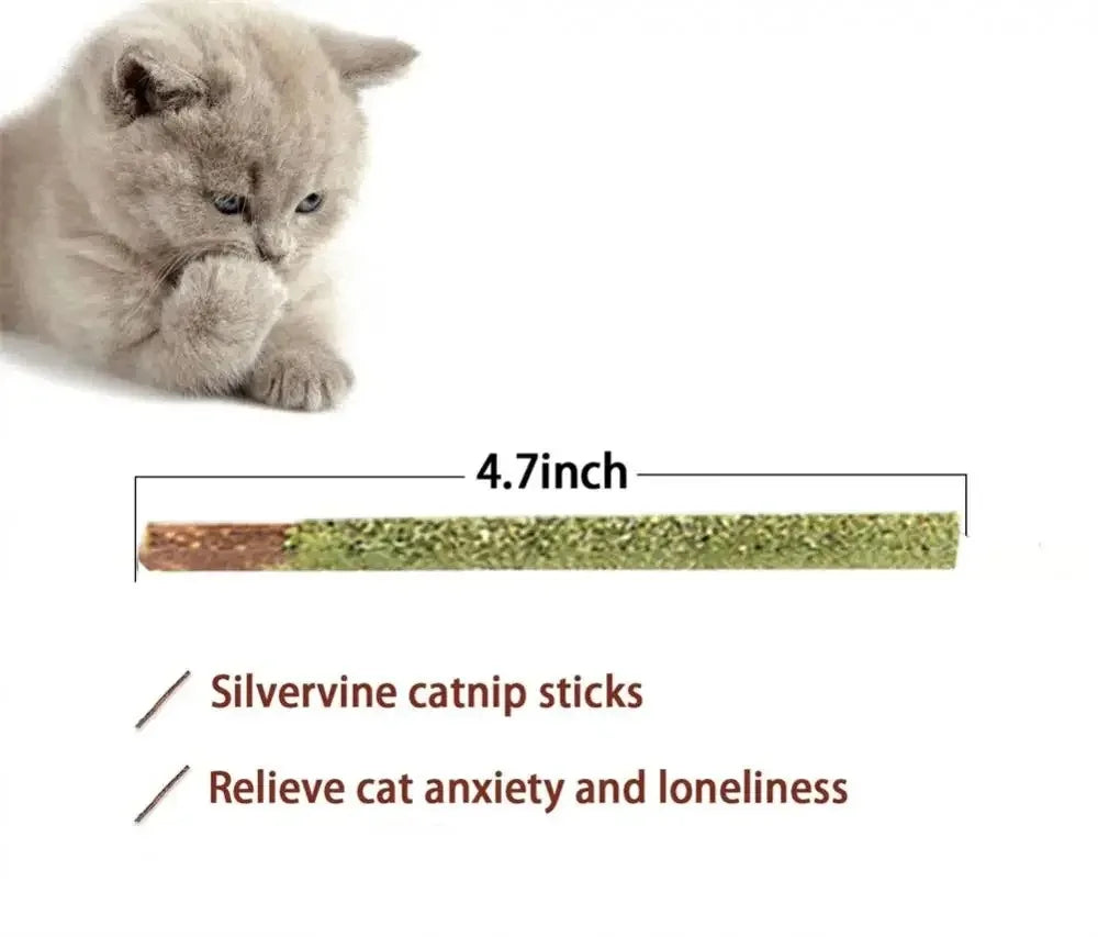 6pcs Natural Matatabi Cat Stick Mint Caught