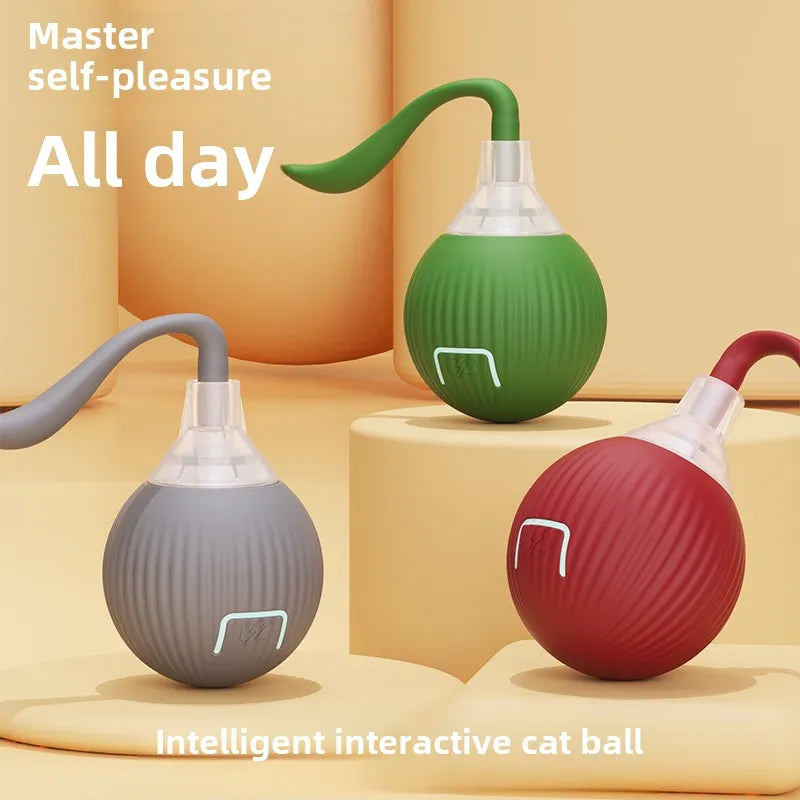 Cat Interactive Ball Training