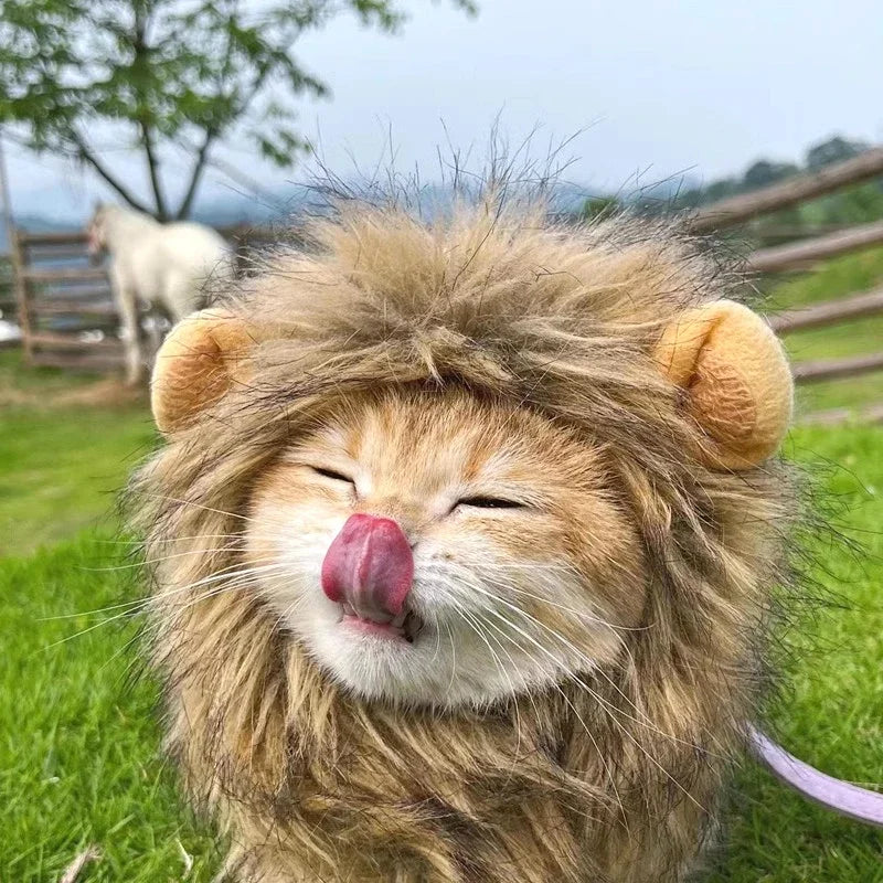 Cat Cosplay Dress Up Pet Hat Lion Mane for Cat Puppy