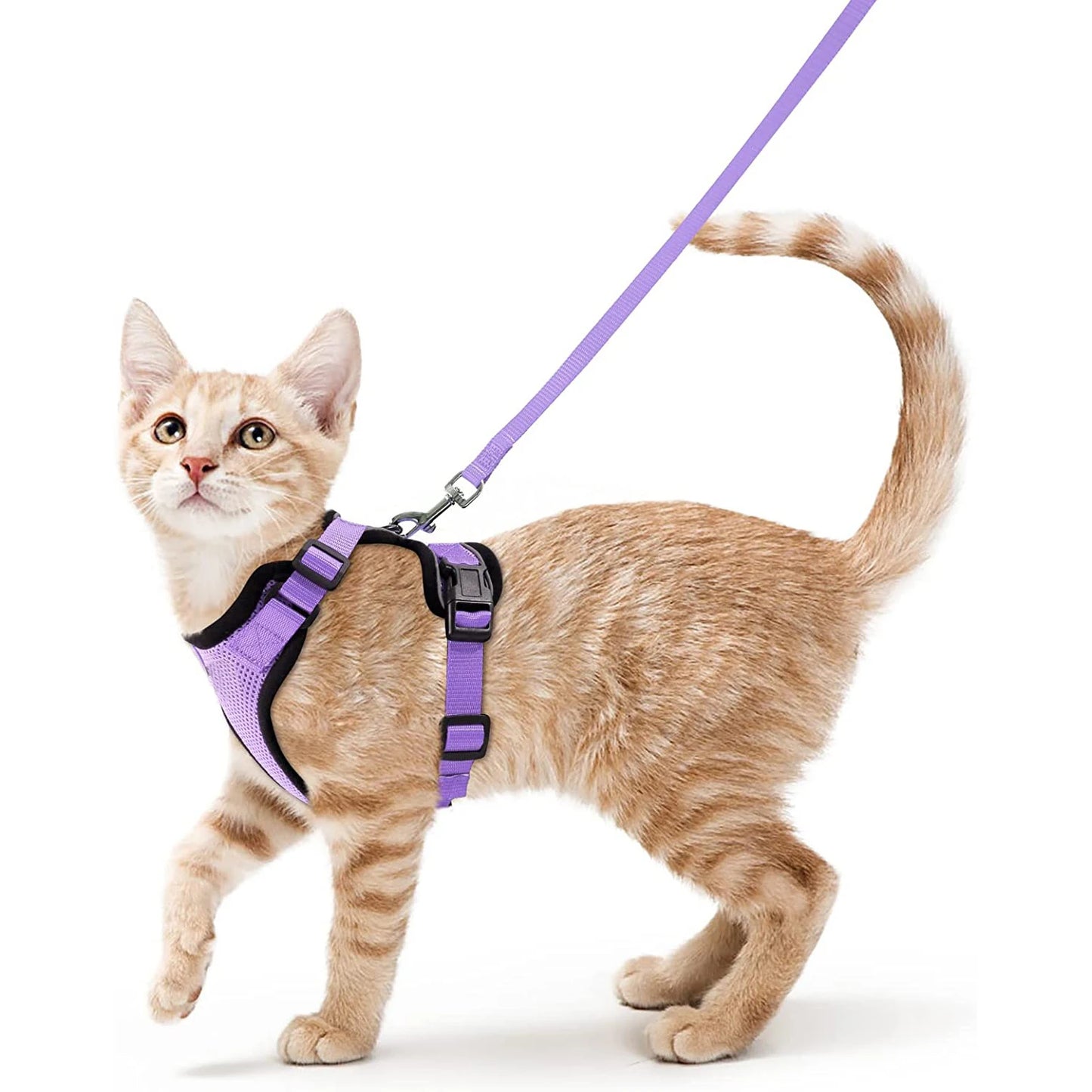 Cat Harness and Leash for Walking,