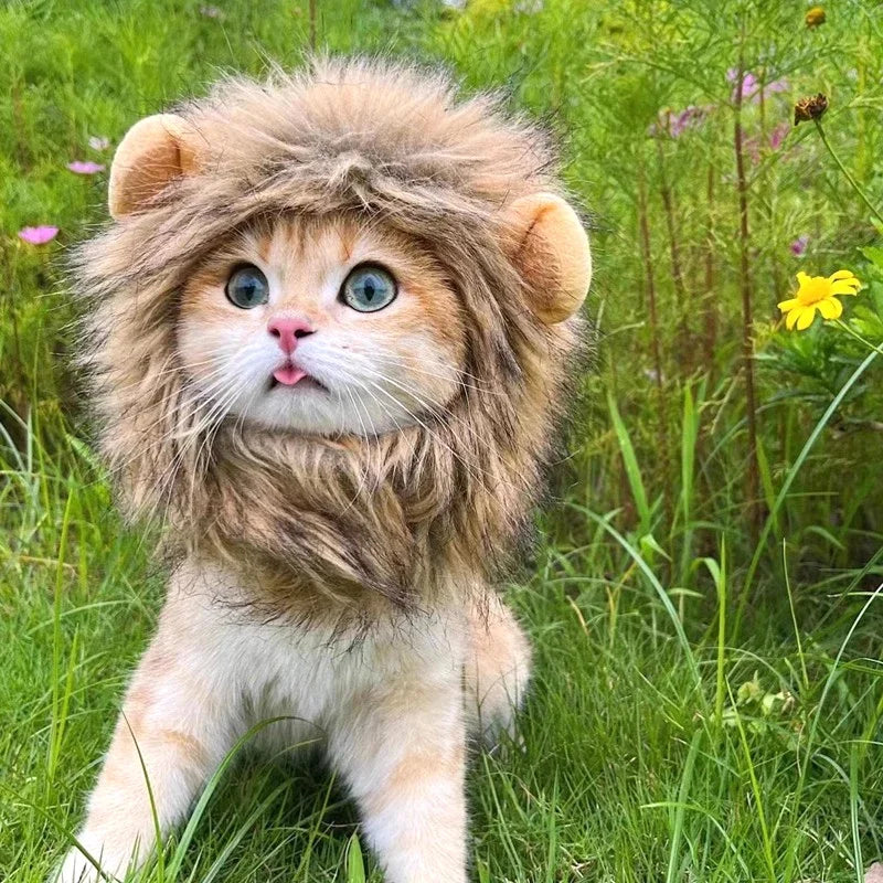 Cat Cosplay Dress Up Pet Hat Lion Mane for Cat Puppy