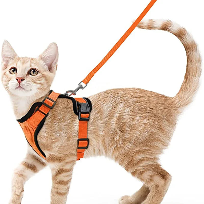 Cat Harness and Leash for Walking,