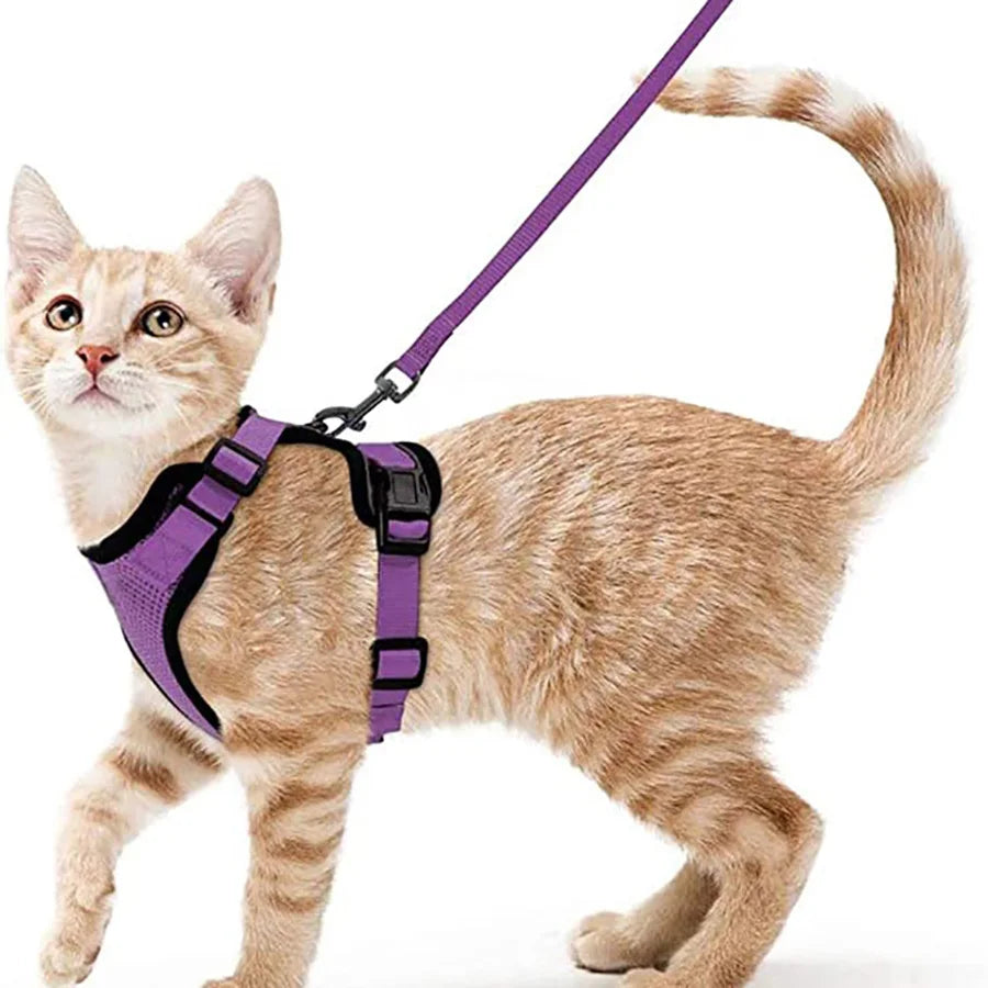 Cat Harness and Leash for Walking,