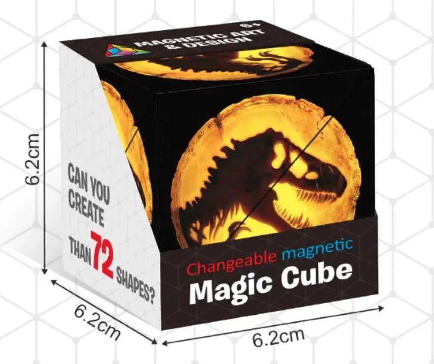 Variety Geometric Changeable Magnetic Magic Cub