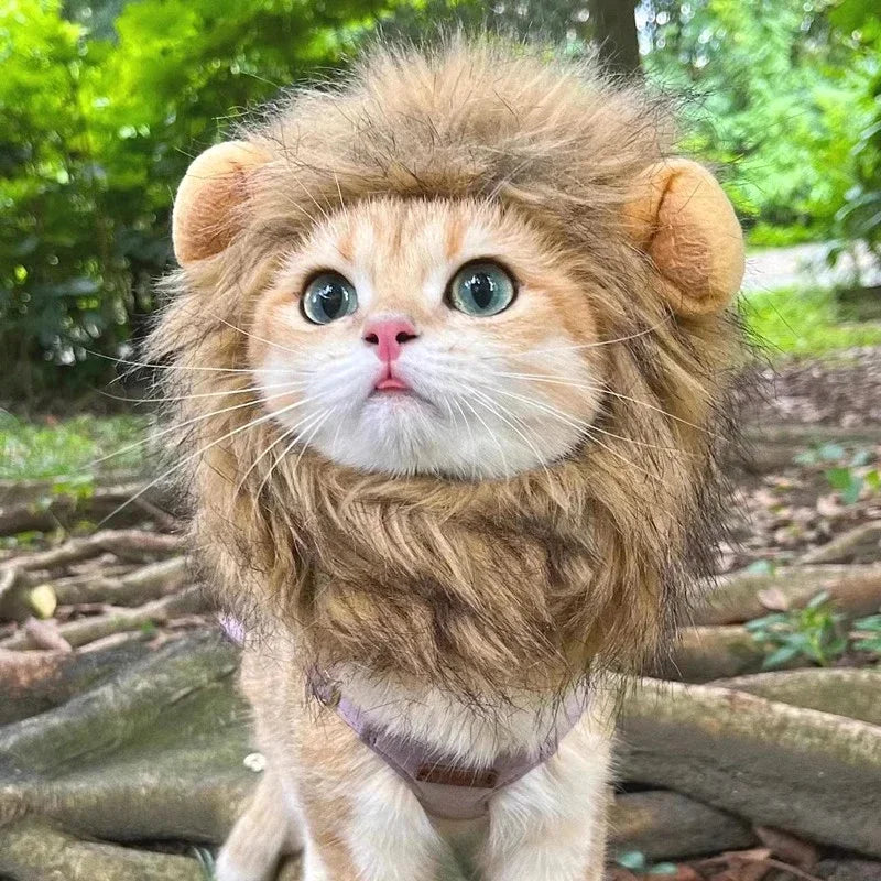 Cat Cosplay Dress Up Pet Hat Lion Mane for Cat Puppy