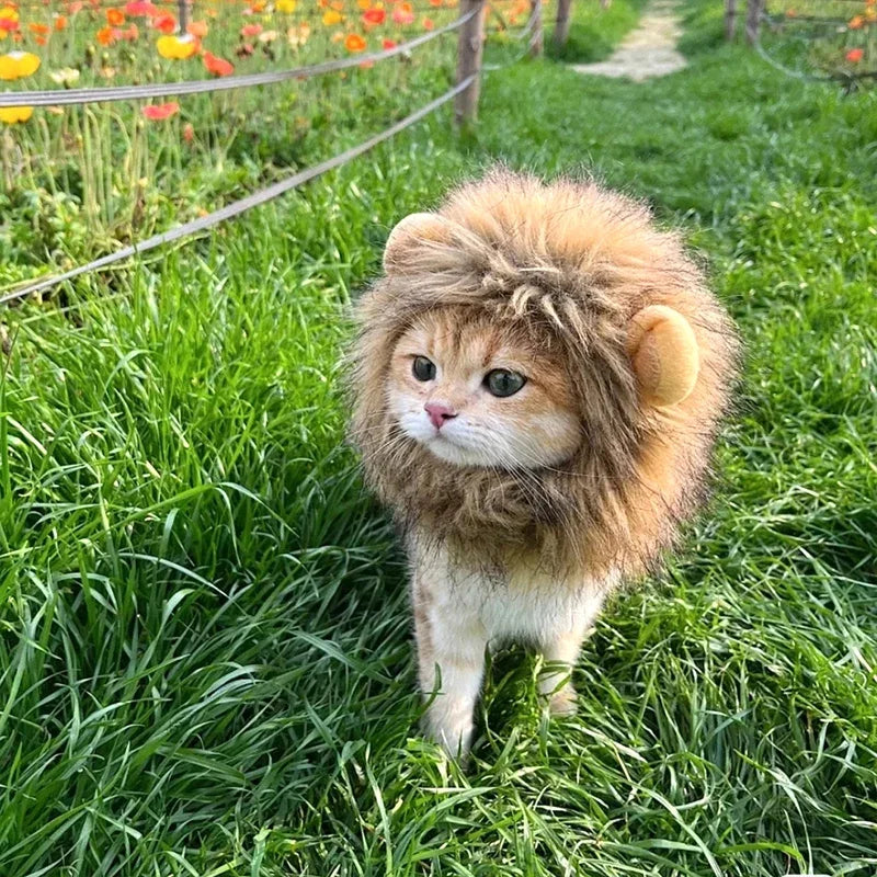 Cat Cosplay Dress Up Pet Hat Lion Mane for Cat Puppy