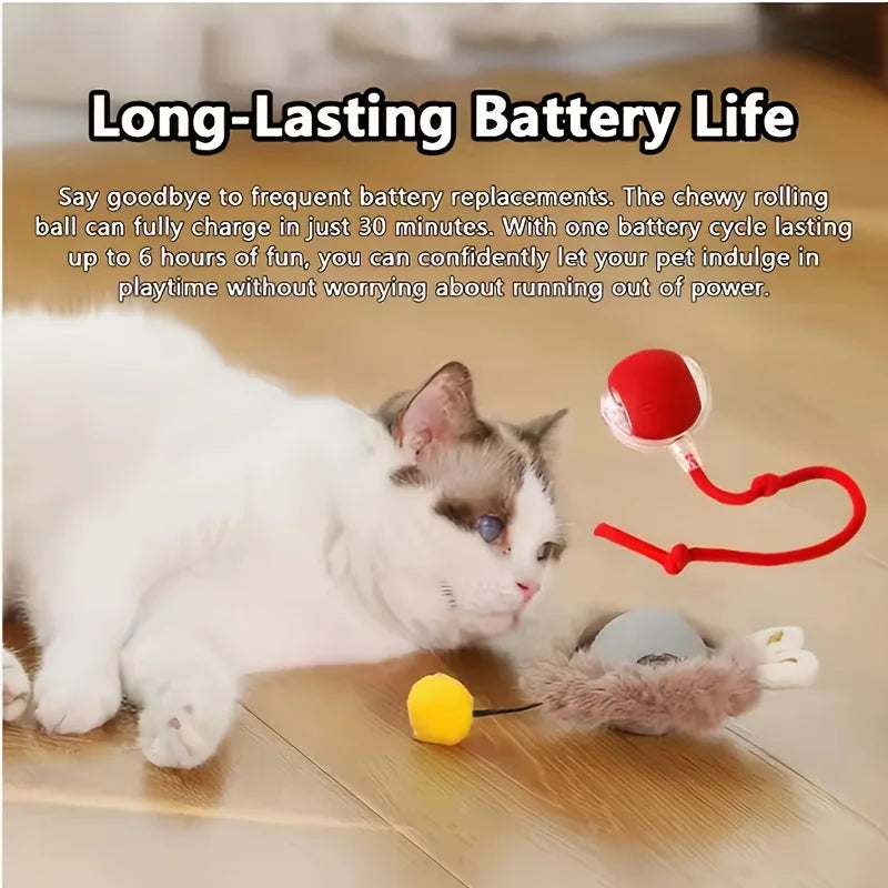 Cat Interactive Ball Training