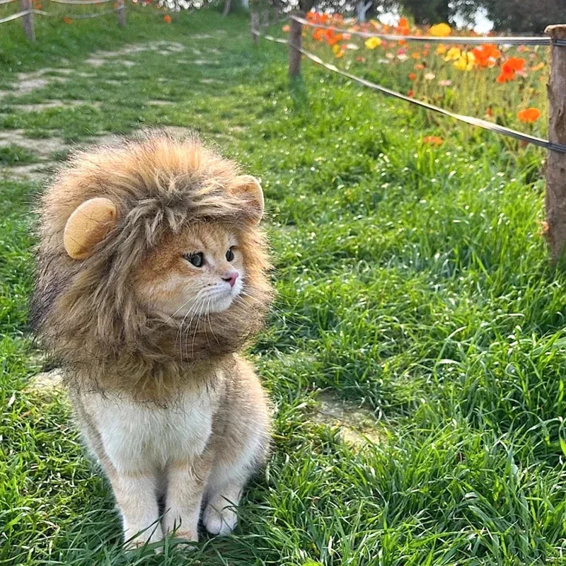 Cat Cosplay Dress Up Pet Hat Lion Mane for Cat Puppy