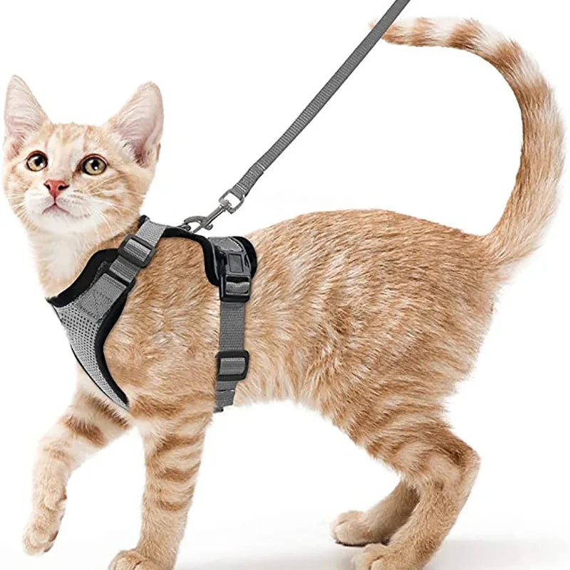 Cat Harness and Leash for Walking,