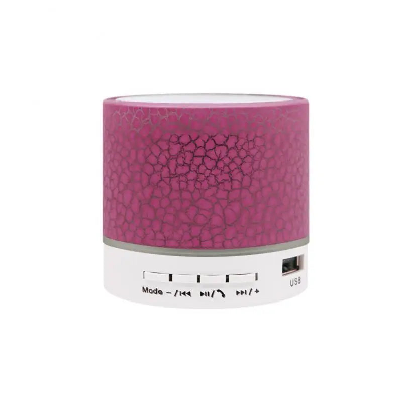 Bluetooth Mini Speaker Wireless Speaker