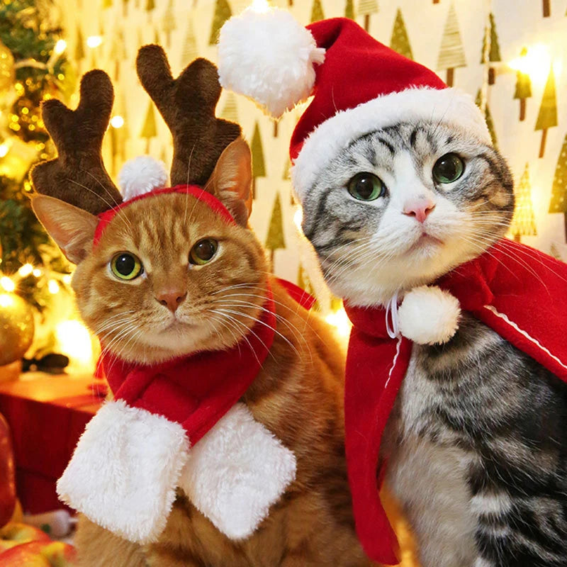 Cute Pet Christmas