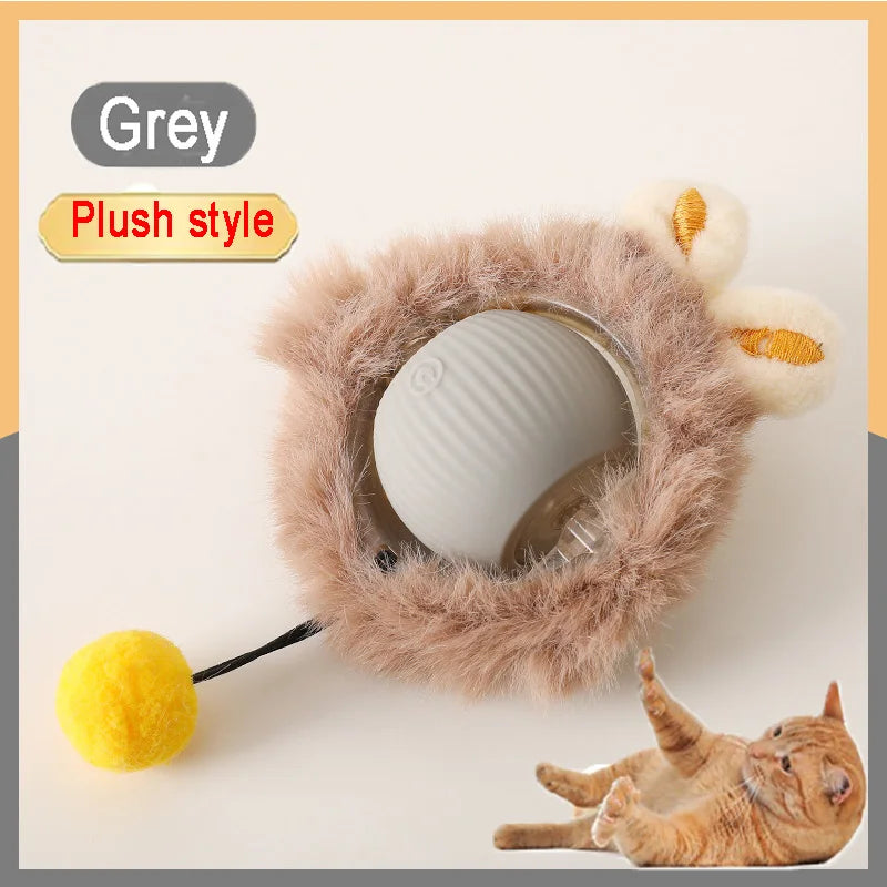 Cat Interactive Ball Training