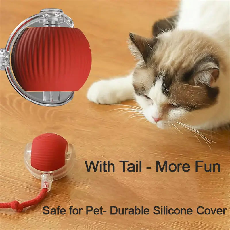 Cat Interactive Ball Training