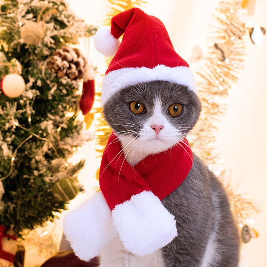 Cute Pet Christmas