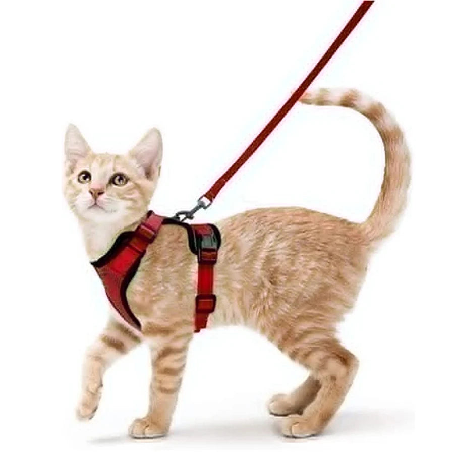 Cat Harness and Leash for Walking,