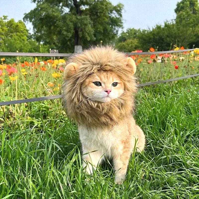 Cat Cosplay Dress Up Pet Hat Lion Mane for Cat Puppy