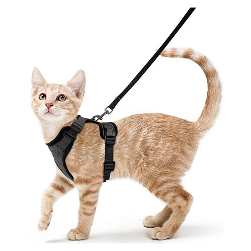 Cat Harness and Leash for Walking,