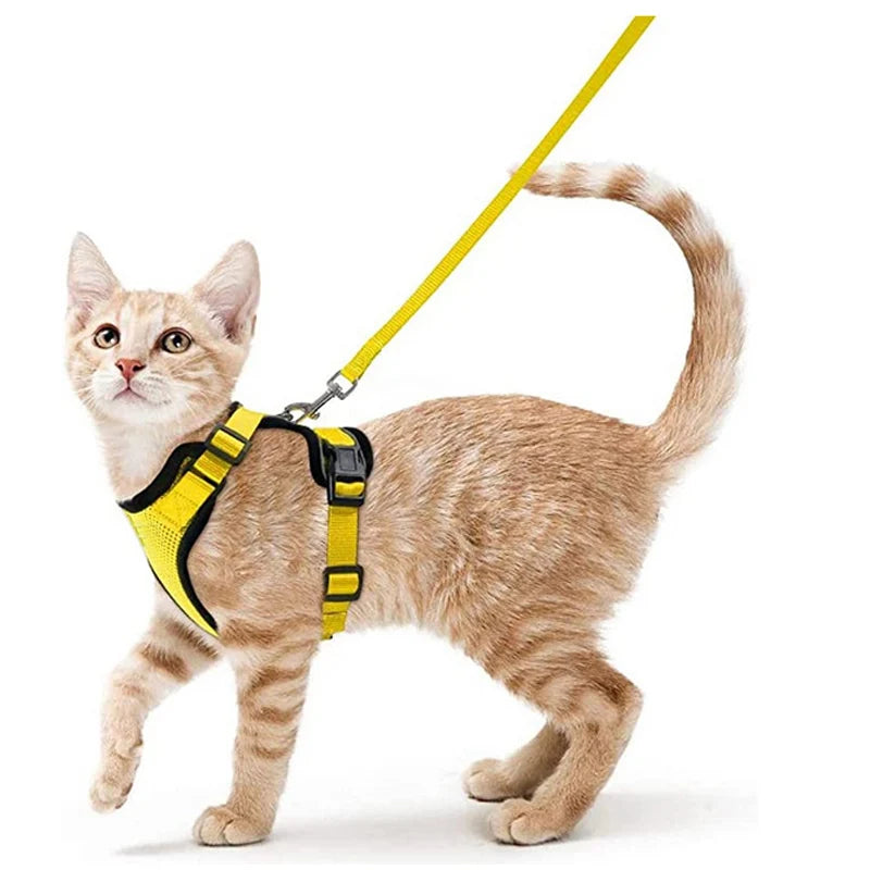 Cat Harness and Leash for Walking,